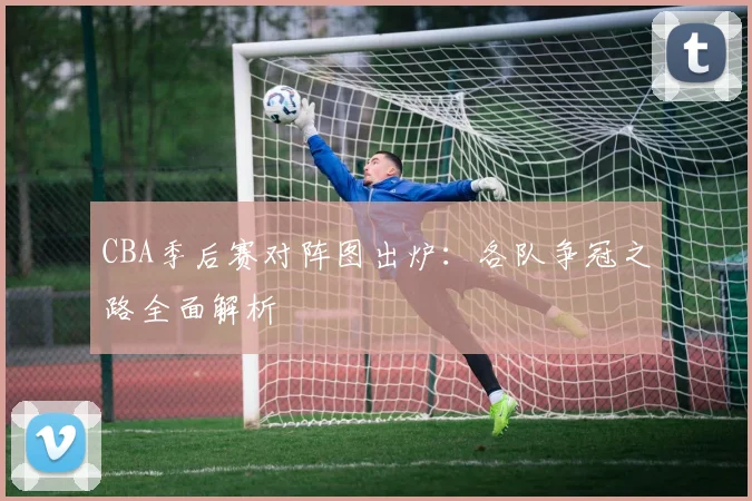 CBA季后赛对阵图出炉：各队争冠之路全面解析